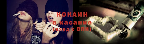 спайс Гусев