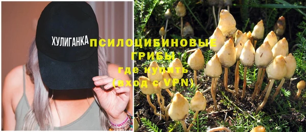 шишки Алзамай