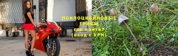 МДПВ Абинск