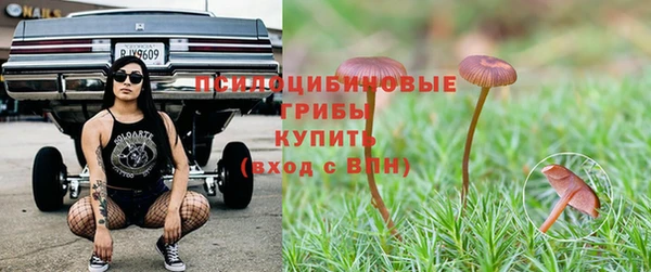 гидра Абдулино