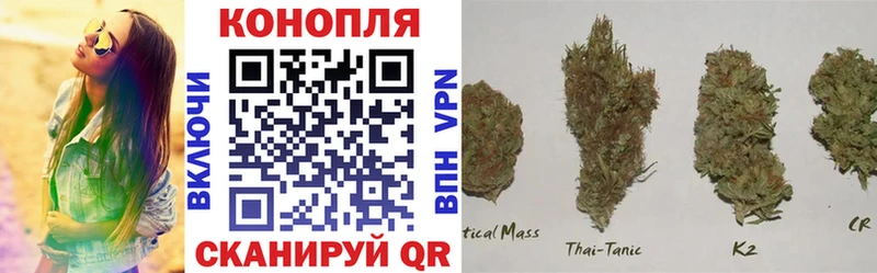 Конопля планчик  наркошоп  Шилка 